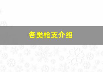 各类枪支介绍