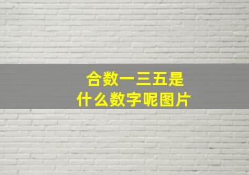 合数一三五是什么数字呢图片