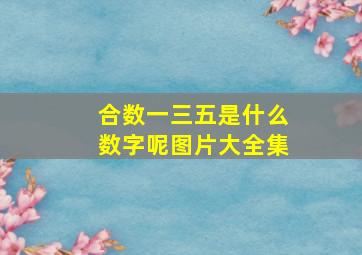 合数一三五是什么数字呢图片大全集