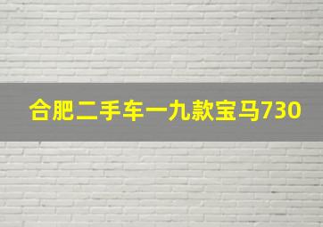 合肥二手车一九款宝马730