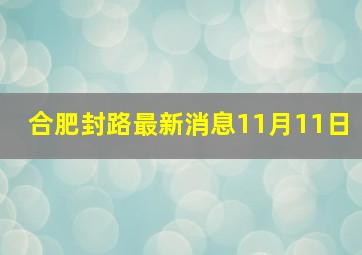 合肥封路最新消息11月11日