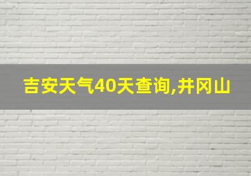 吉安天气40天查询,井冈山