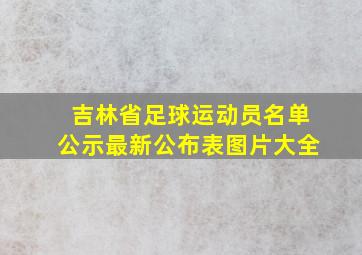 吉林省足球运动员名单公示最新公布表图片大全