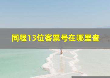 同程13位客票号在哪里查