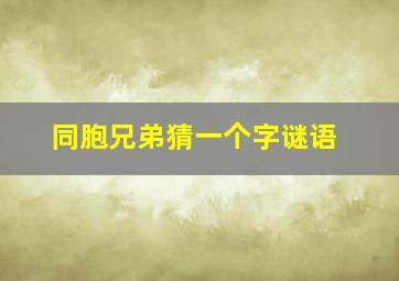 同胞兄弟猜一个字谜语