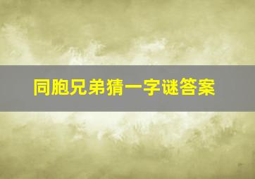 同胞兄弟猜一字谜答案