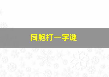 同胞打一字谜