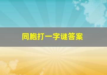 同胞打一字谜答案