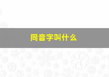 同音字叫什么