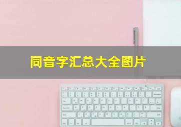 同音字汇总大全图片