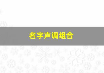 名字声调组合