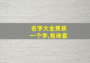 名字大全男孩一个字,有诗意