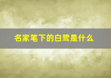 名家笔下的白鹭是什么