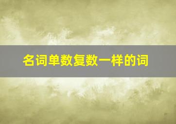 名词单数复数一样的词