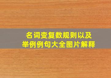 名词变复数规则以及举例例句大全图片解释