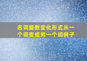 名词复数变化形式从一个词变成另一个词例子