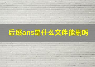 后缀ans是什么文件能删吗