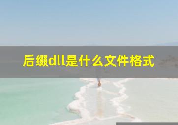 后缀dll是什么文件格式