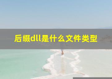 后缀dll是什么文件类型