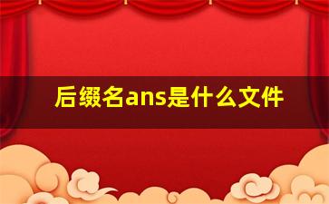 后缀名ans是什么文件