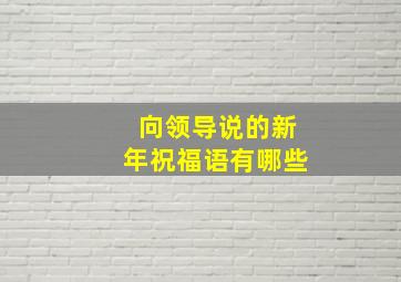 向领导说的新年祝福语有哪些