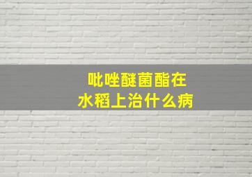 吡唑醚菌酯在水稻上治什么病