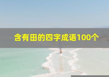 含有田的四字成语100个