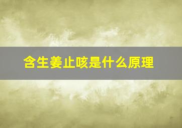 含生姜止咳是什么原理