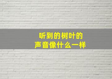 听到的树叶的声音像什么一样