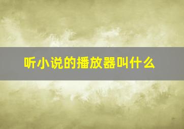 听小说的播放器叫什么