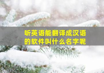 听英语能翻译成汉语的软件叫什么名字呢