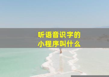 听语音识字的小程序叫什么