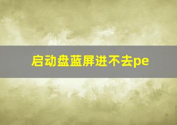 启动盘蓝屏进不去pe