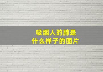 吸烟人的肺是什么样子的图片