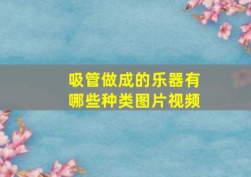 吸管做成的乐器有哪些种类图片视频