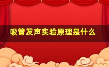 吸管发声实验原理是什么