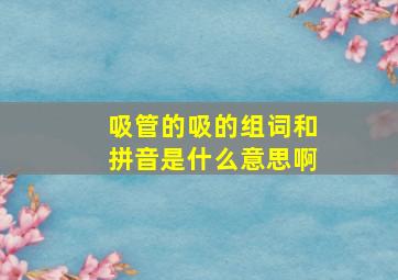 吸管的吸的组词和拼音是什么意思啊