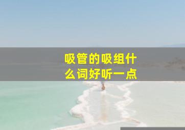 吸管的吸组什么词好听一点