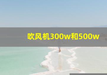 吹风机300w和500w