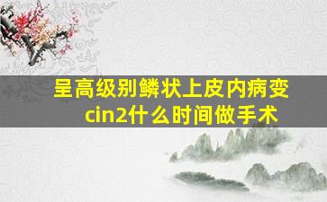 呈高级别鳞状上皮内病变cin2什么时间做手术