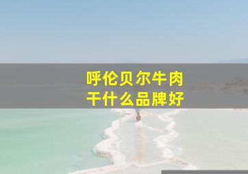 呼伦贝尔牛肉干什么品牌好