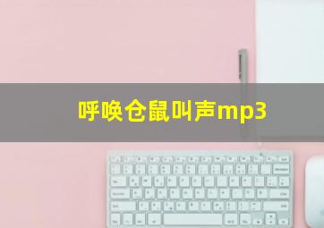 呼唤仓鼠叫声mp3