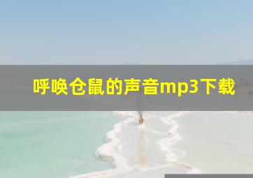 呼唤仓鼠的声音mp3下载