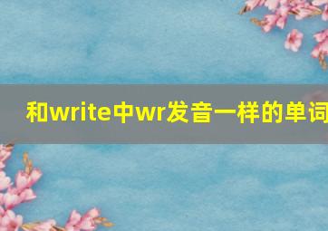 和write中wr发音一样的单词