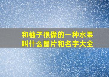 和柚子很像的一种水果叫什么图片和名字大全