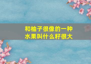 和柚子很像的一种水果叫什么籽很大