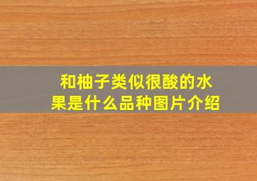 和柚子类似很酸的水果是什么品种图片介绍