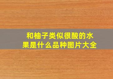 和柚子类似很酸的水果是什么品种图片大全