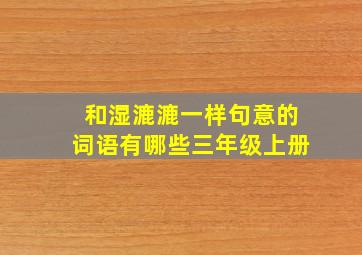 和湿漉漉一样句意的词语有哪些三年级上册