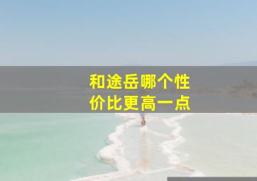 和途岳哪个性价比更高一点